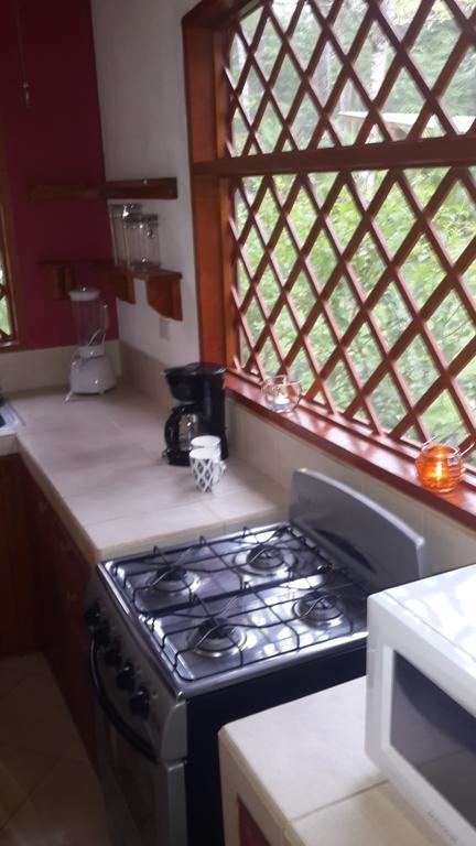 Los Delfines Lodge Puerto Viejo de Talamanca ห้อง รูปภาพ