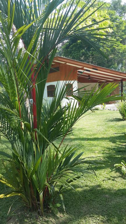 Los Delfines Lodge Puerto Viejo de Talamanca ห้อง รูปภาพ